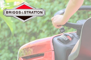 Briggs & Stratton Vind nummer en model